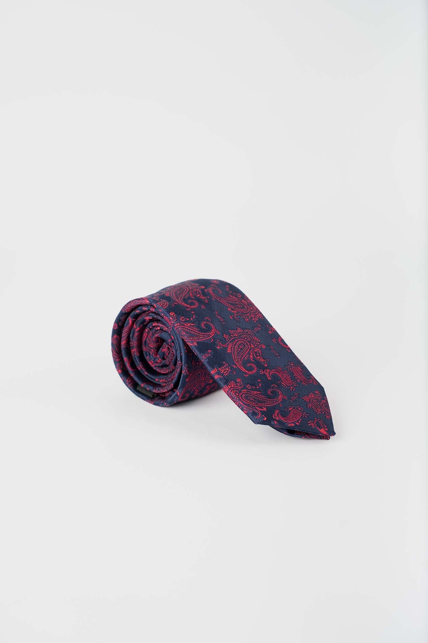 Classic Paisley Neck Tie