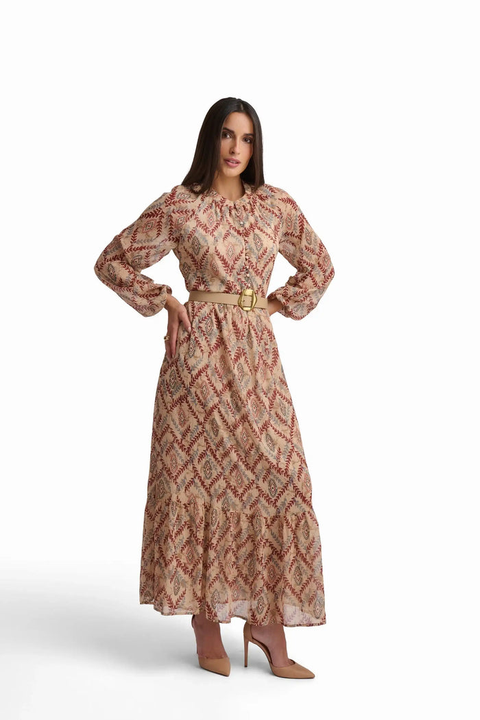 Printed Long Sleeve Maxi Dress