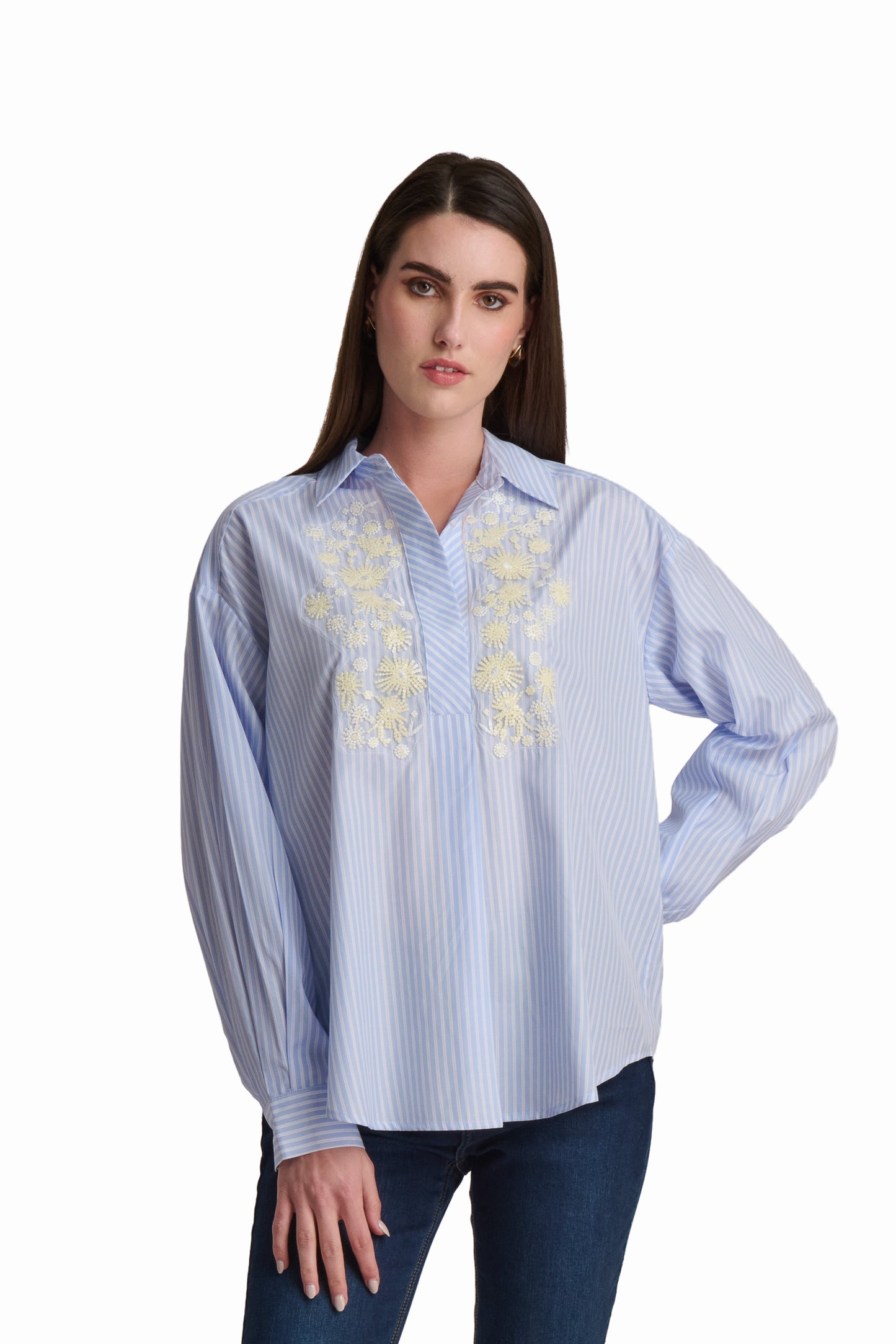 Embroidered Stripe Shirt