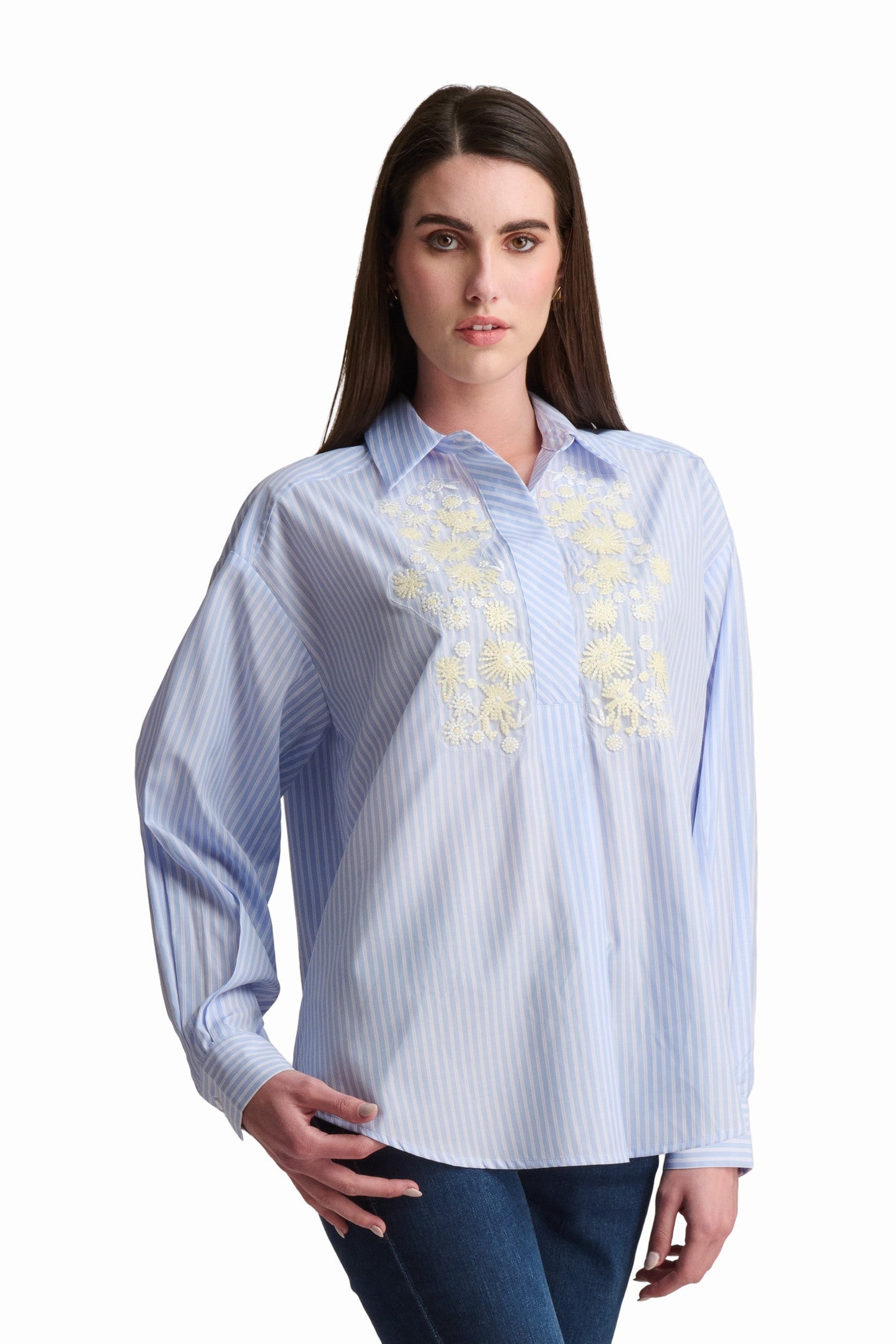 Embroidered Stripe Shirt
