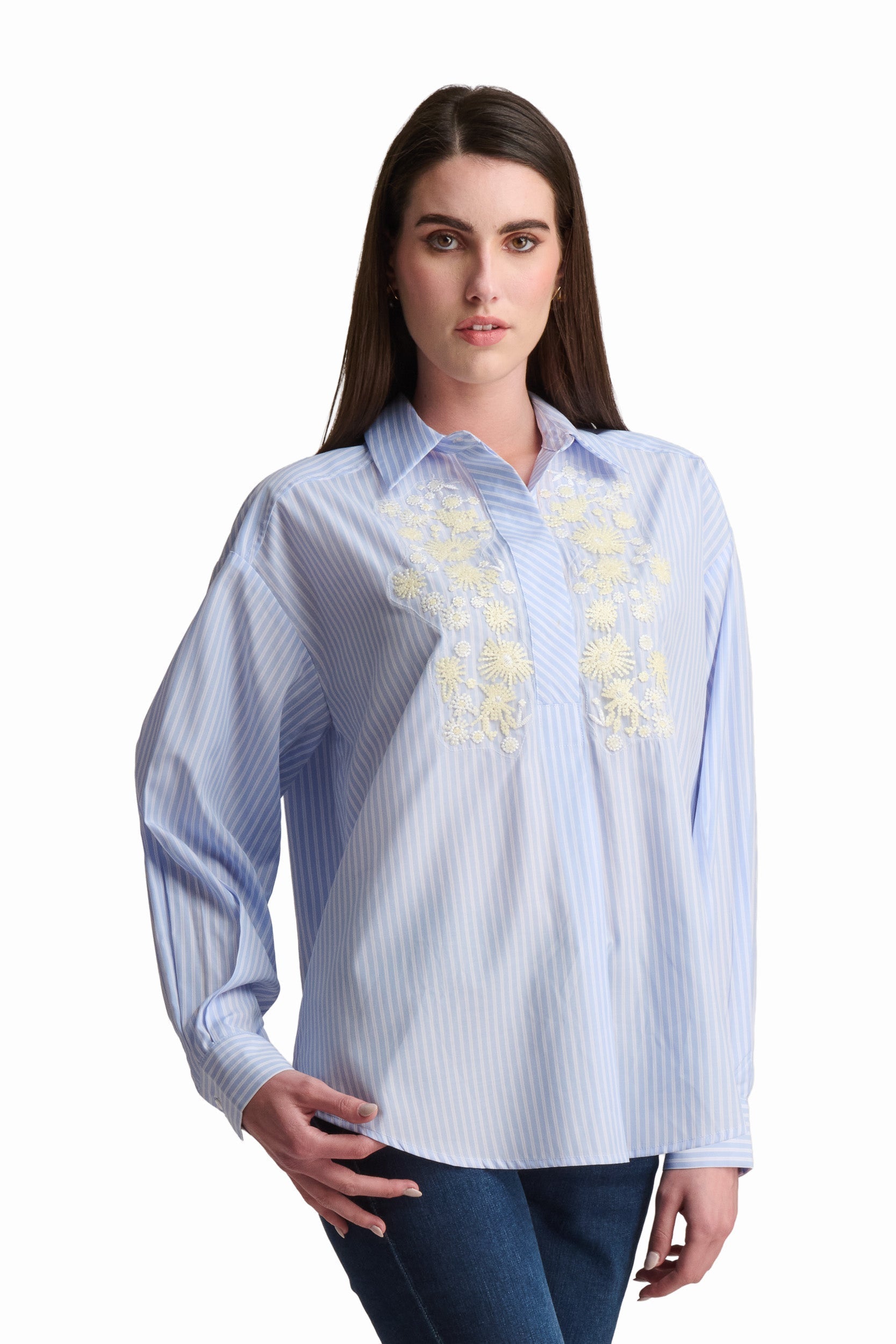Embroidered Stripe Shirt
