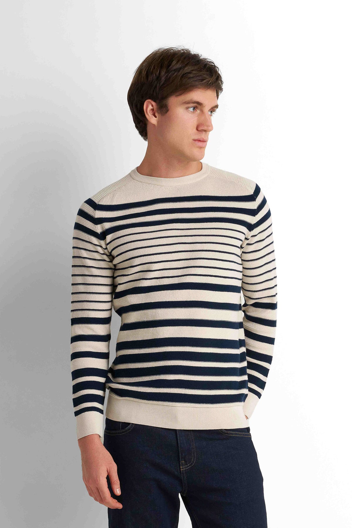 Striped Crew Neck Pullover - Light Beige