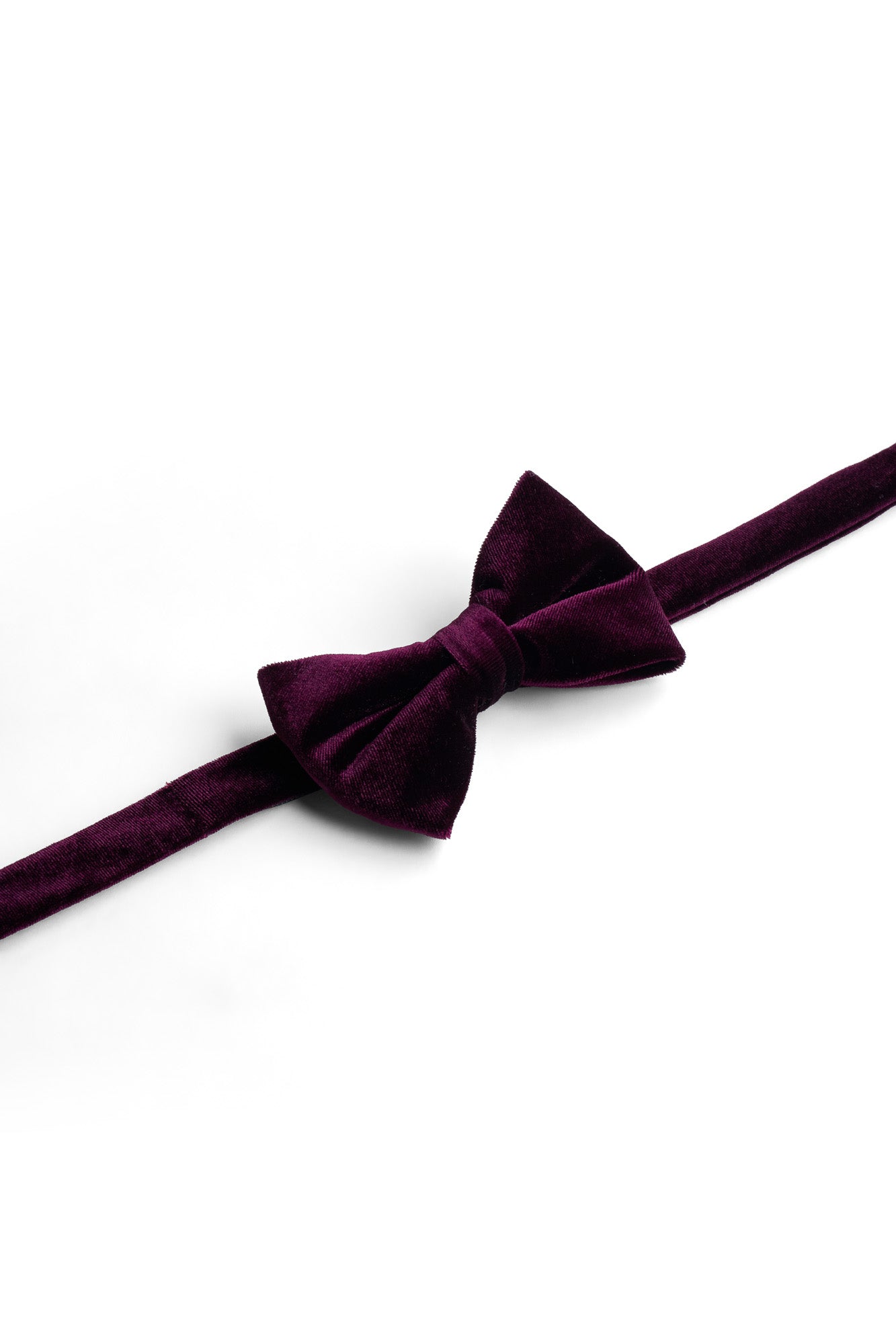 Bow Tie